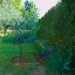 Apartmán Nada Poreč