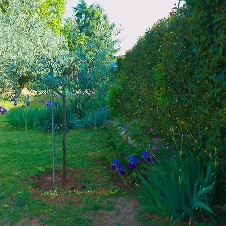 Appartement Nada Poreč